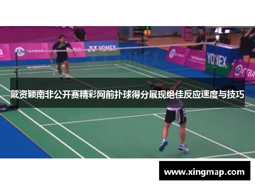 戴资颖南非公开赛精彩网前扑球得分展现绝佳反应速度与技巧