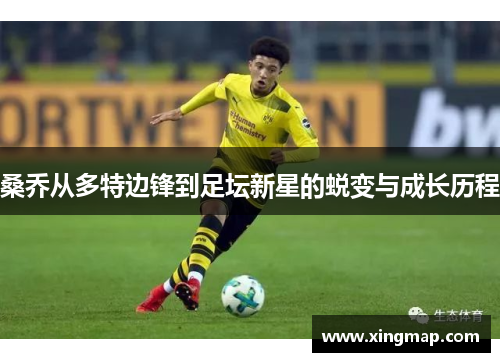 桑乔从多特边锋到足坛新星的蜕变与成长历程